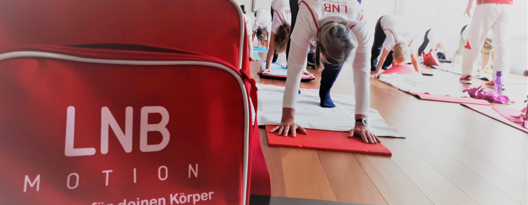 schmerztherapie-dresden-kurse-lnb-motion-übungen